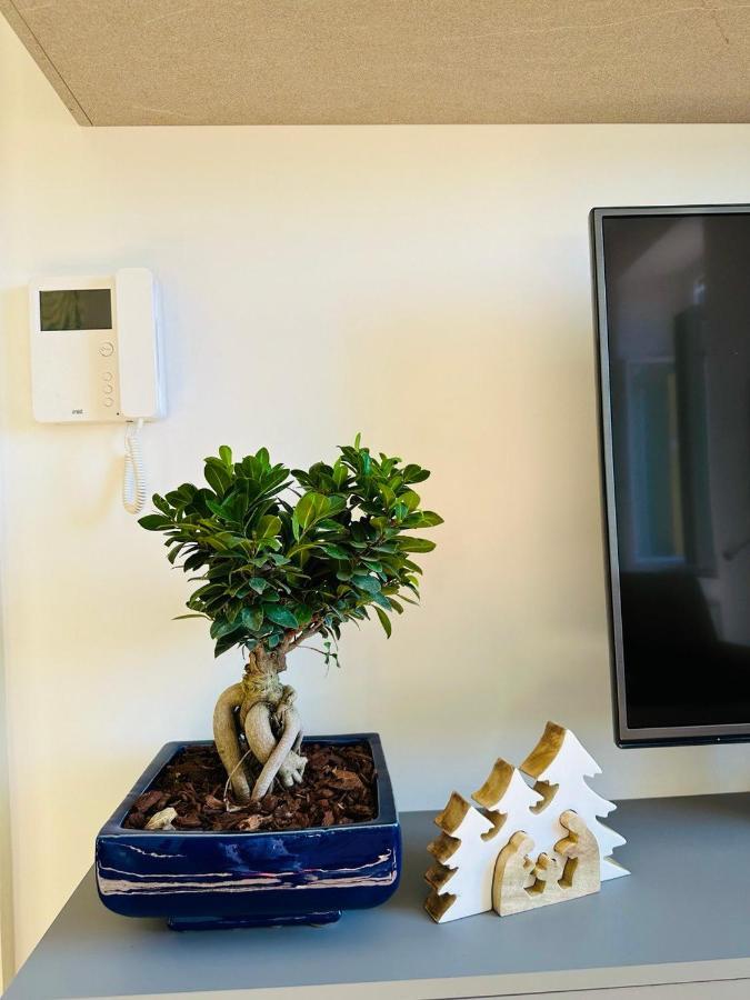 Alocasia Luxury Stay Σαλέρνο Εξωτερικό φωτογραφία
